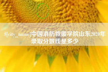 开原中国消防救援学院山东2020年录取分数线是多少