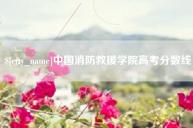 开原中国消防救援学院高考分数线