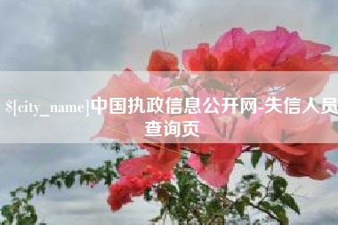 开原中国执政信息公开网-失信人员查询页