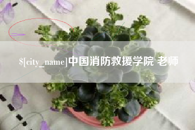 开原中国消防救援学院 老师