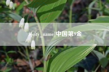 开原中国第9金