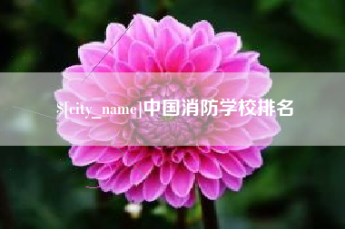 开原中国消防学校排名