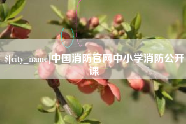 开原中国消防官网中小学消防公开课
