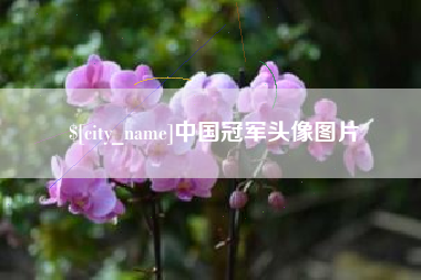 开原中国冠军头像图片