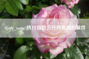 开原执行信息公开网查到的案件