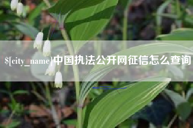 开原中国执法公开网征信怎么查询