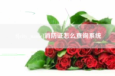 开原消防证怎么查询系统