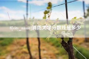 开原消防大学分数线是多少