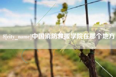 开原中国消防救援学院在那个地方