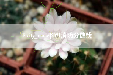 开原2021消防分数线