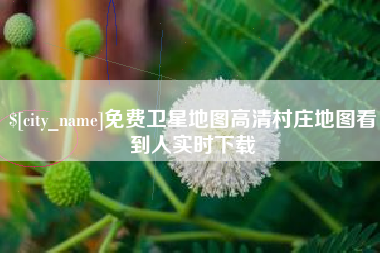 开原免费卫星地图高清村庄地图看到人实时下载