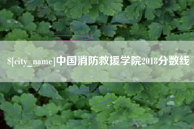 开原中国消防救援学院2018分数线