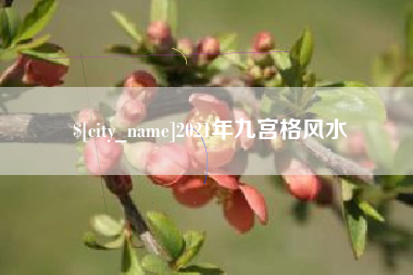 开原2021年九宫格风水