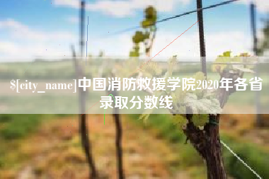 开原中国消防救援学院2020年各省录取分数线