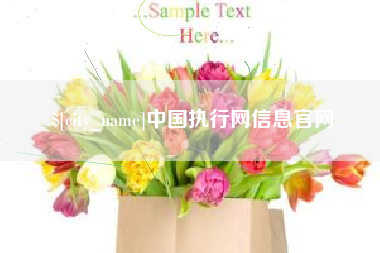 开原中国执行网信息官网