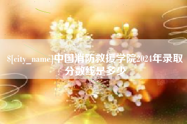 开原中国消防救援学院2024年录取分数线是多少