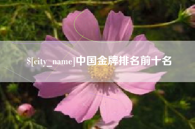 开原中国金牌排名前十名