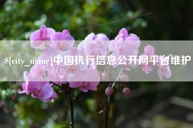 开原中国执行信息公开网平台维护