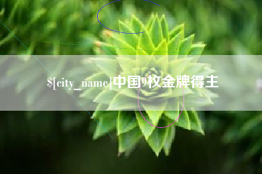 开原中国9枚金牌得主