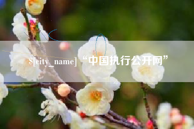 开原“中国执行公开网”