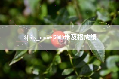 开原5000米及格成绩