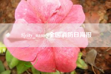 开原全国消防日海报