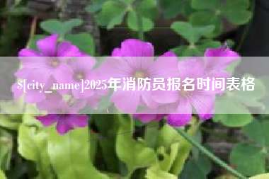 开原2025年消防员报名时间表格