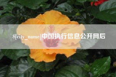 开原中国执行信息公开网后