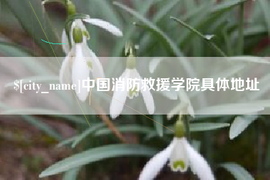 开原中国消防救援学院具体地址