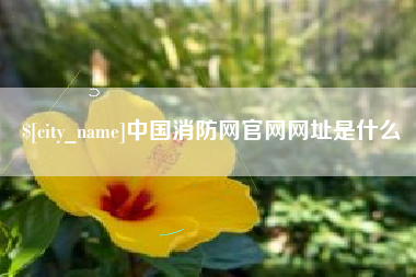 开原中国消防网官网网址是什么