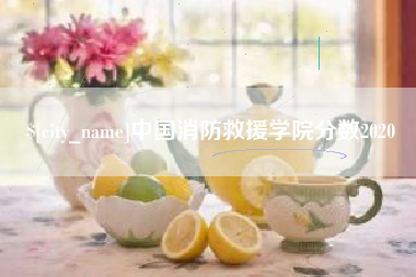开原中国消防救援学院分数2020