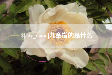开原九金指的是什么