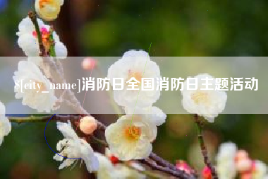 开原消防日全国消防日主题活动
