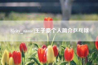 开原王子豪个人简介乒乓球