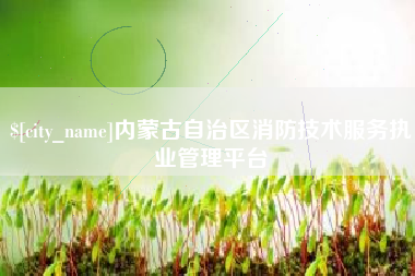 开原内蒙古自治区消防技术服务执业管理平台