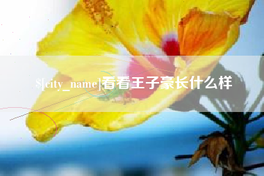 开原看看王子豪长什么样