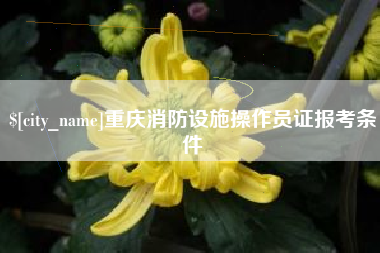 开原重庆消防设施操作员证报考条件