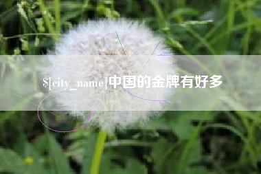 开原中国的金牌有好多
