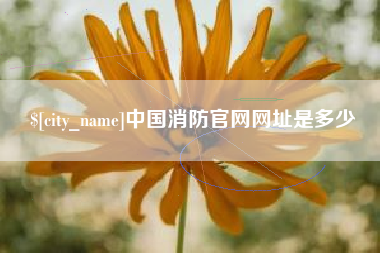 开原中国消防官网网址是多少