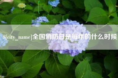 开原全国消防日是每年的什么时候