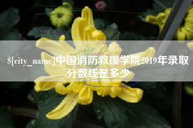 开原中国消防救援学院2019年录取分数线是多少