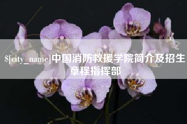 开原中国消防救援学院简介及招生章程指挥部