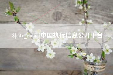 开原中国执行信息公开平台