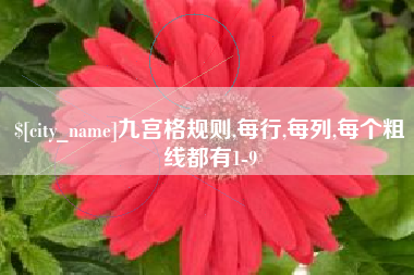 开原九宫格规则,每行,每列,每个粗线都有1-9