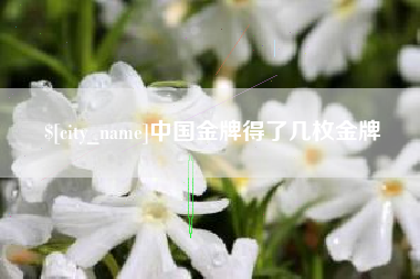 开原中国金牌得了几枚金牌
