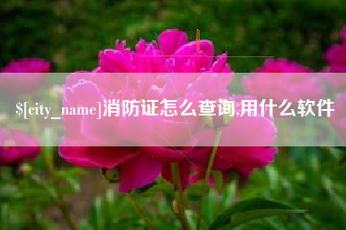 开原消防证怎么查询,用什么软件