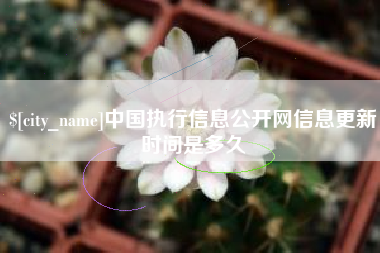 开原中国执行信息公开网信息更新时间是多久