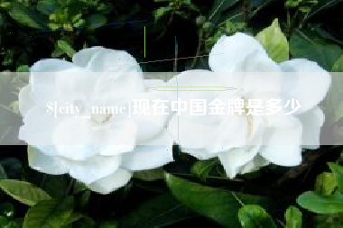 开原现在中国金牌是多少
