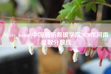 开原中国消防救援学院2020年河南录取分数线