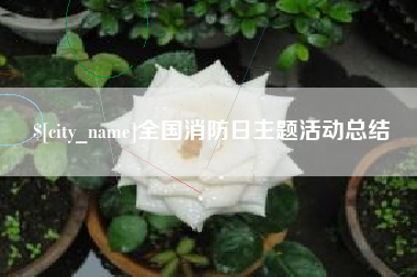 开原全国消防日主题活动总结